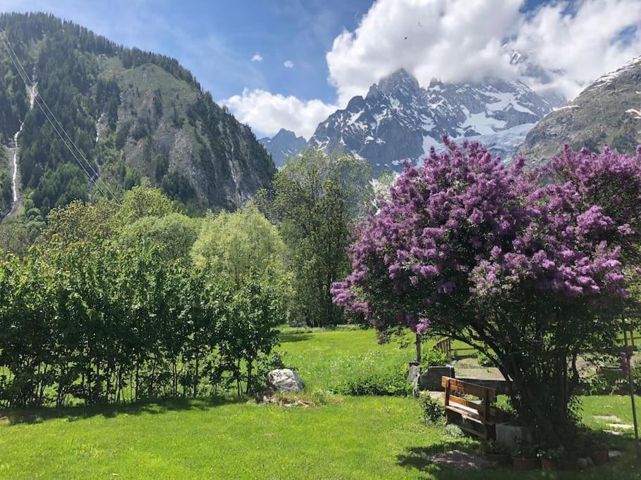Appartamenti Vista Monte Bianco Courmayeur-Entreves Kültér fotó